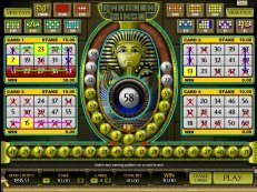 bingo online R$50 gr谩tis